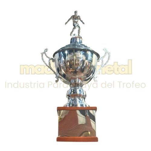 Imagen de Copa de metal con tapa - M5.3000